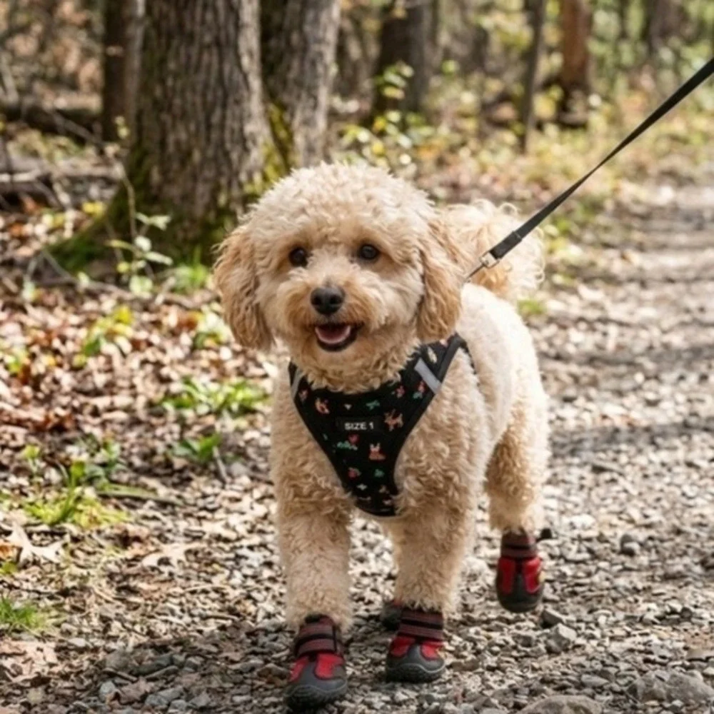 Red and Black Protective Dog Booties Secure Fit Outdoor Paw Shoes Size 1
